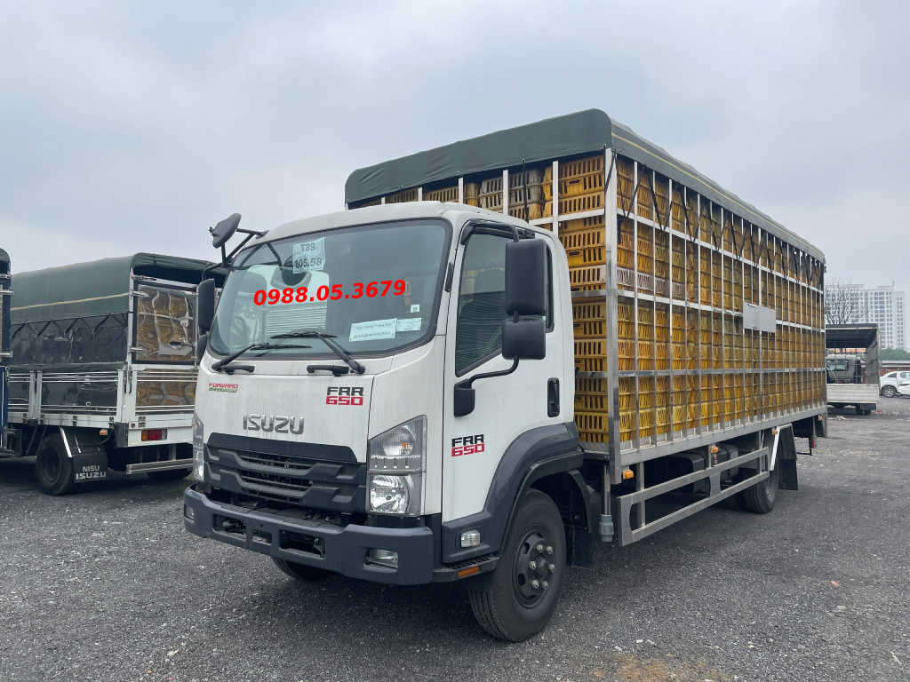 xe tai isuzu frr 650 6 tan 5 frr90ne5 thung cho gia cam 312 long